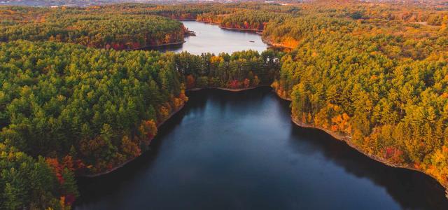 Fellsway Reservation Near Boston, Massachusetts